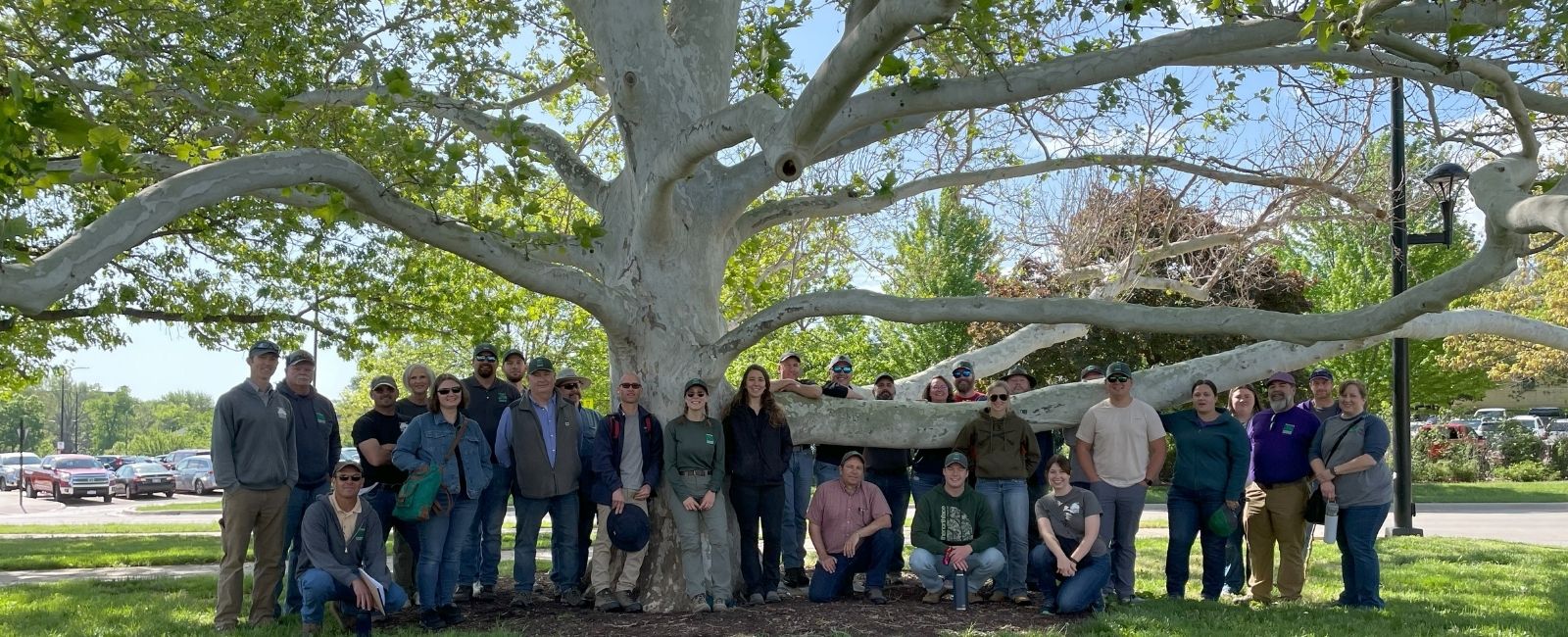 Small trees in tubes